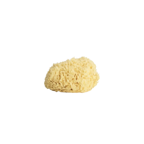 Sevin London Gold Honeycomb Sponge - Натуральна морська губка для обличчя Sevin London Gold Honeycomb Sponge - Натуральна морська губка для обличчя